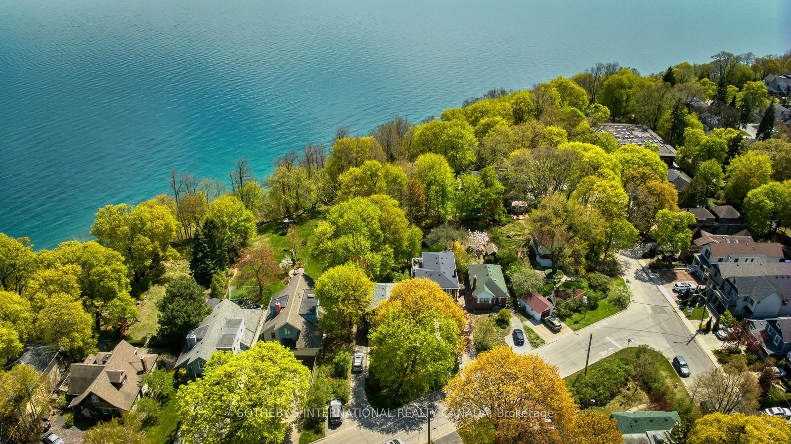 5 Springbank Avenue