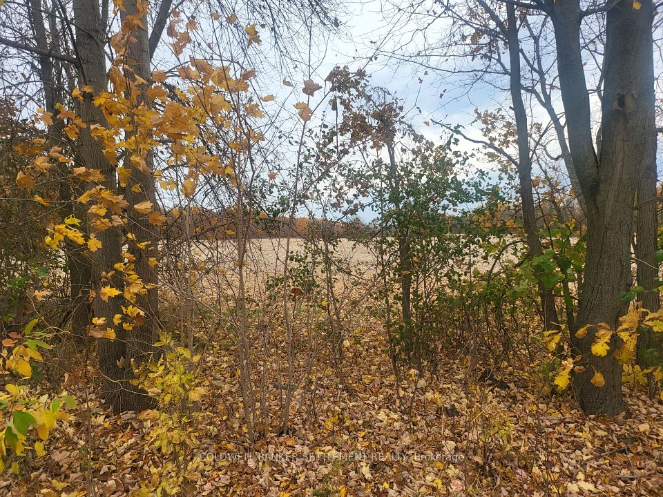 Lot 2 Bush