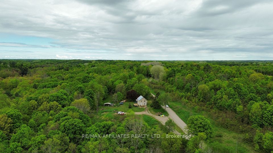 1505 Elm Tree