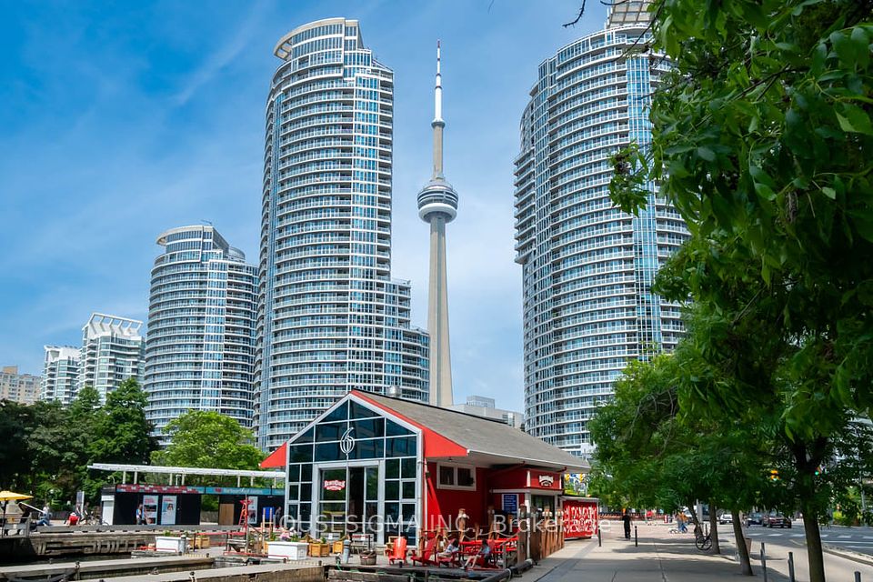 77 Harbour