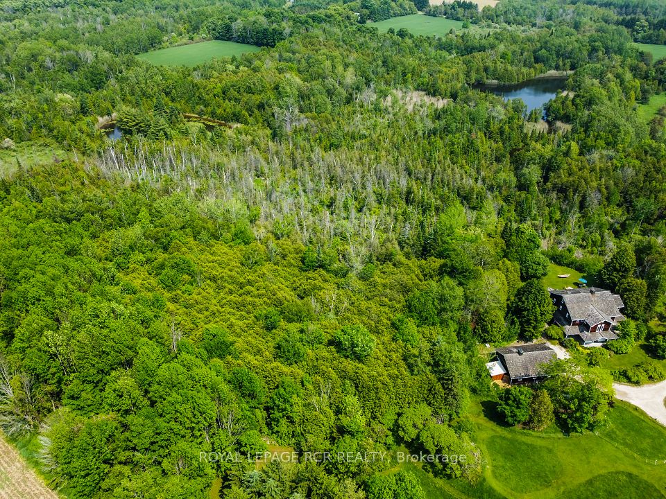 19455 Shaws Creek