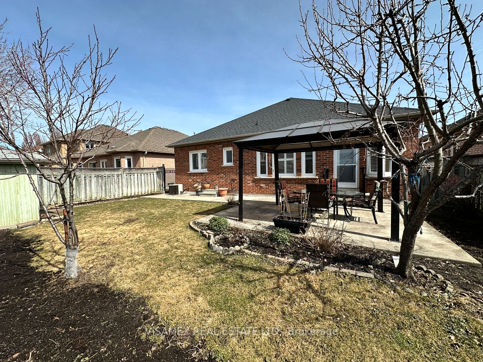 Backyard with Pergola and Shed