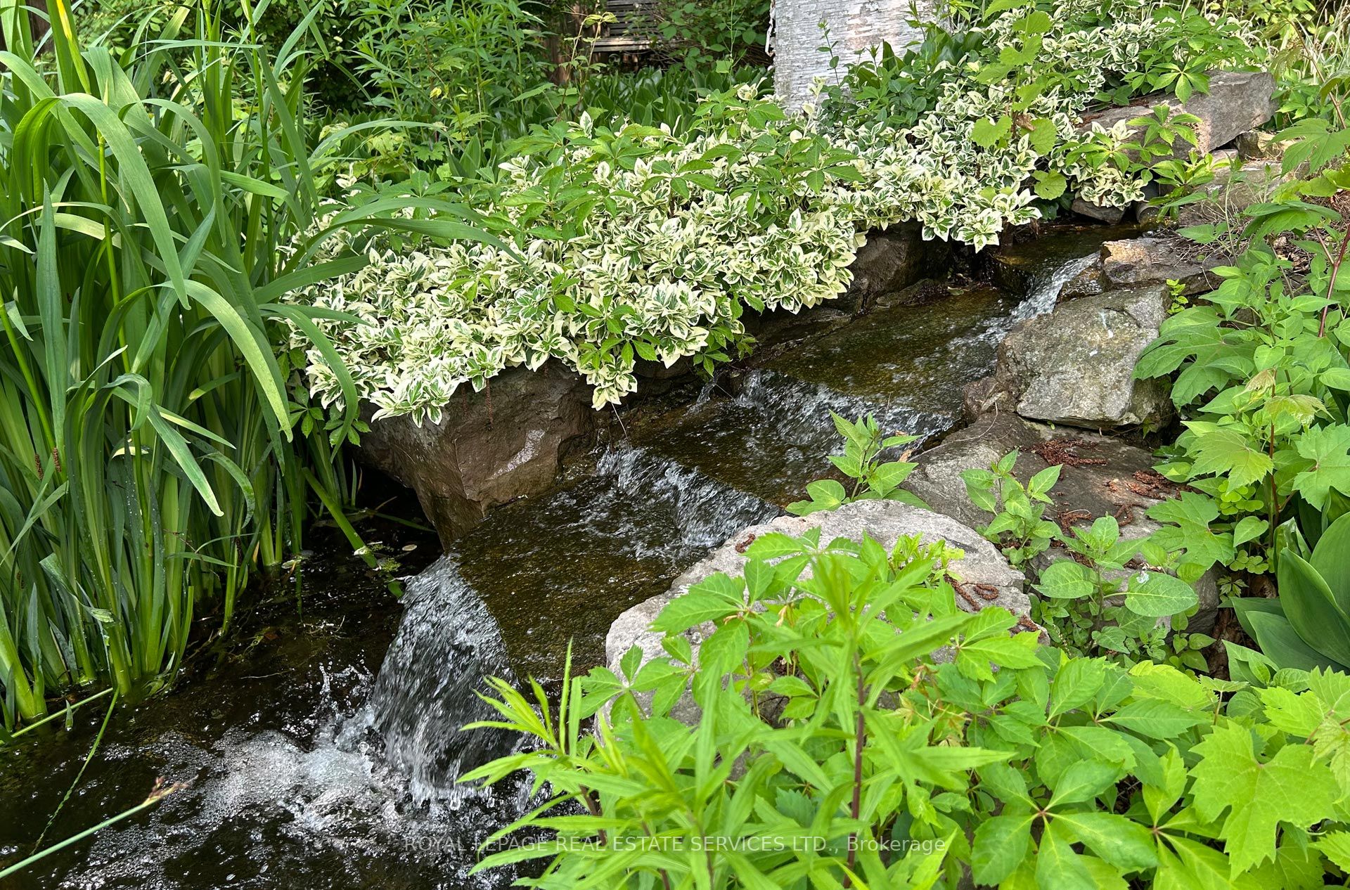 Image 22