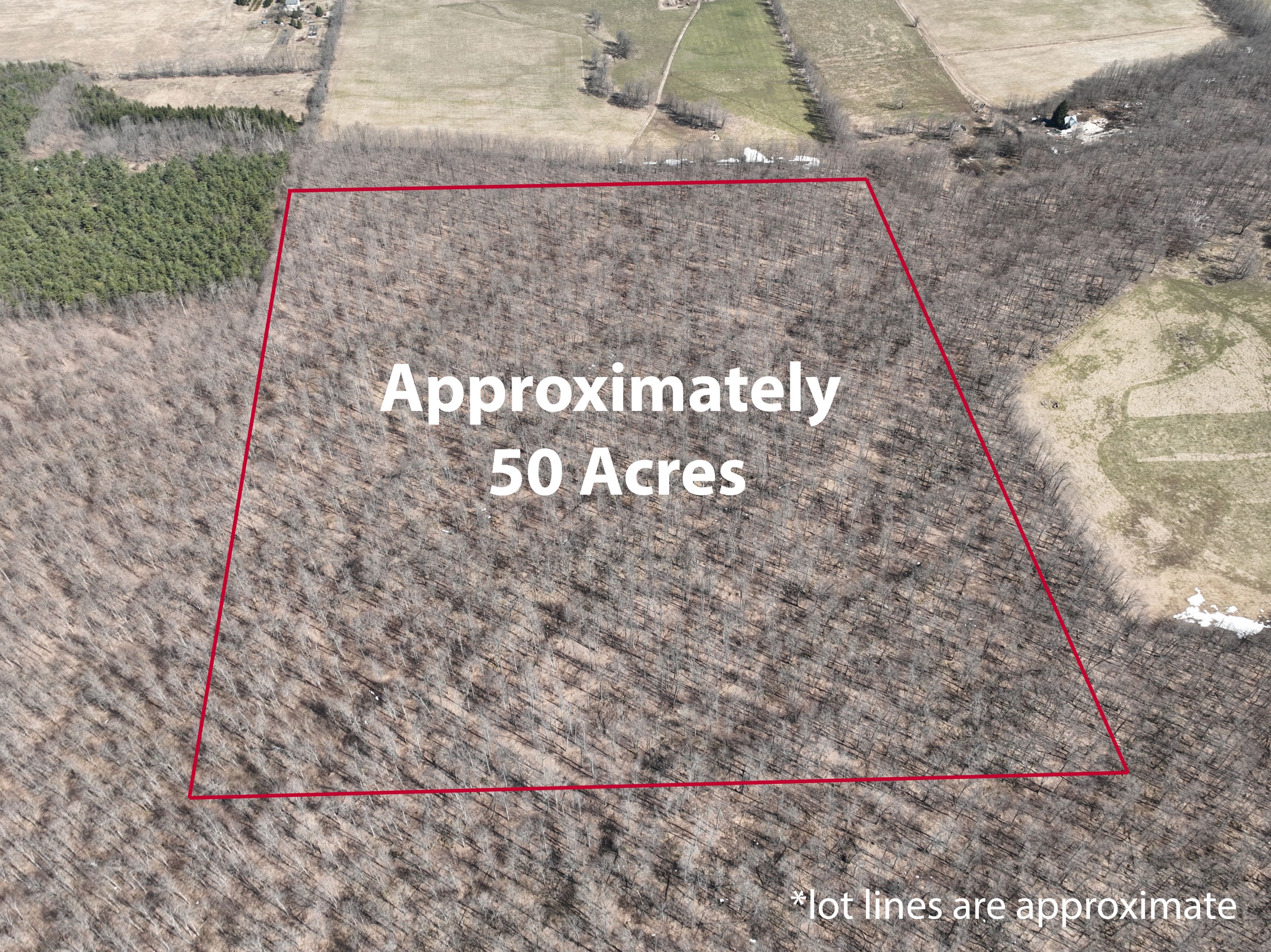463176 Concession 24 Acres Georgian Bluffs Ontario N0H 2T0