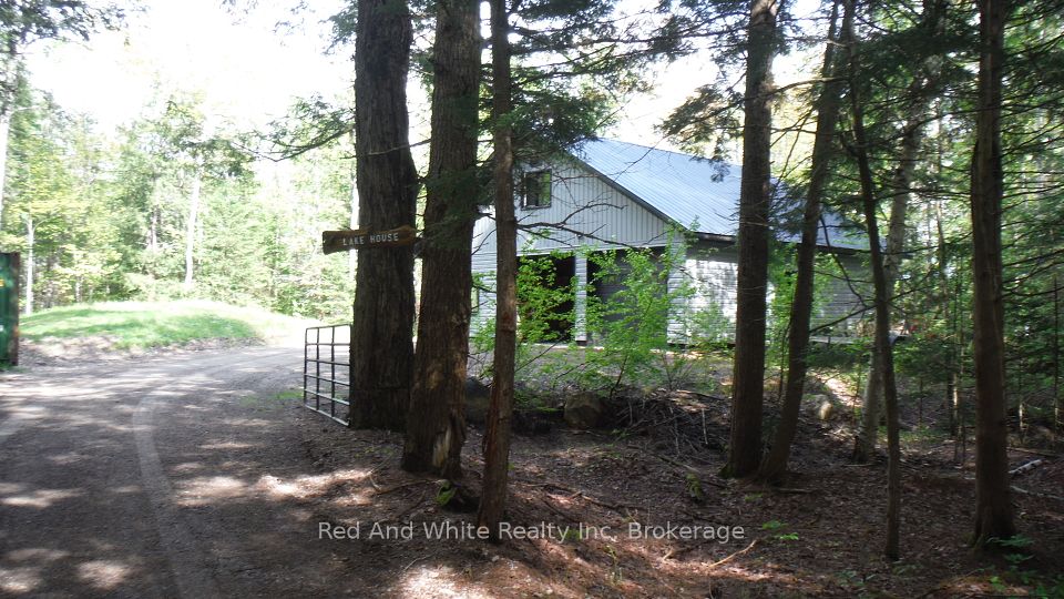 3491A AXE LAKE ROAD