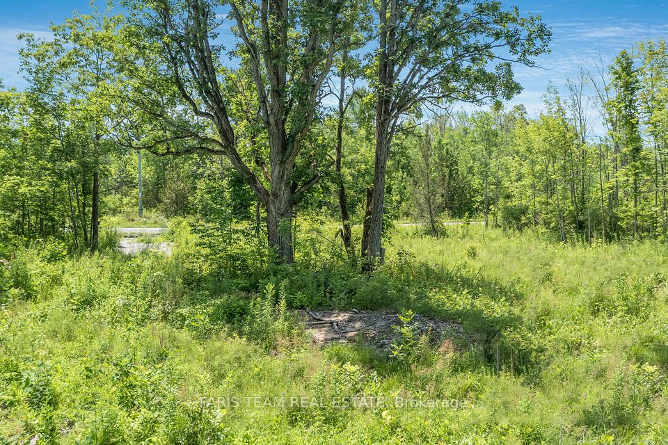 88 Musky Bay Road, Georgian Bay, ON L0K 1S0