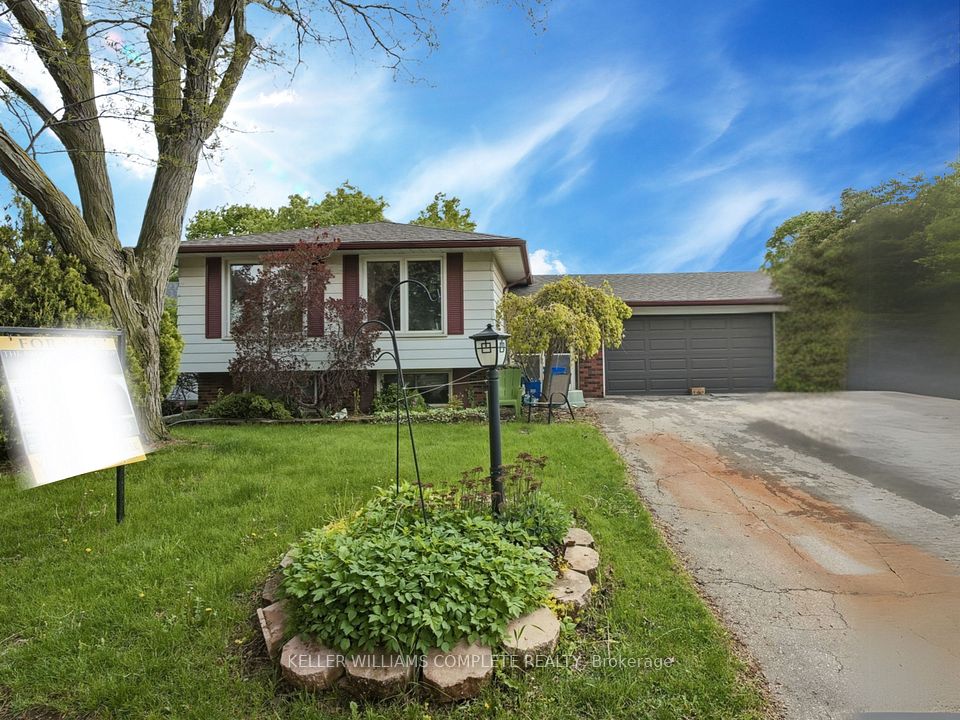 591 Bridle