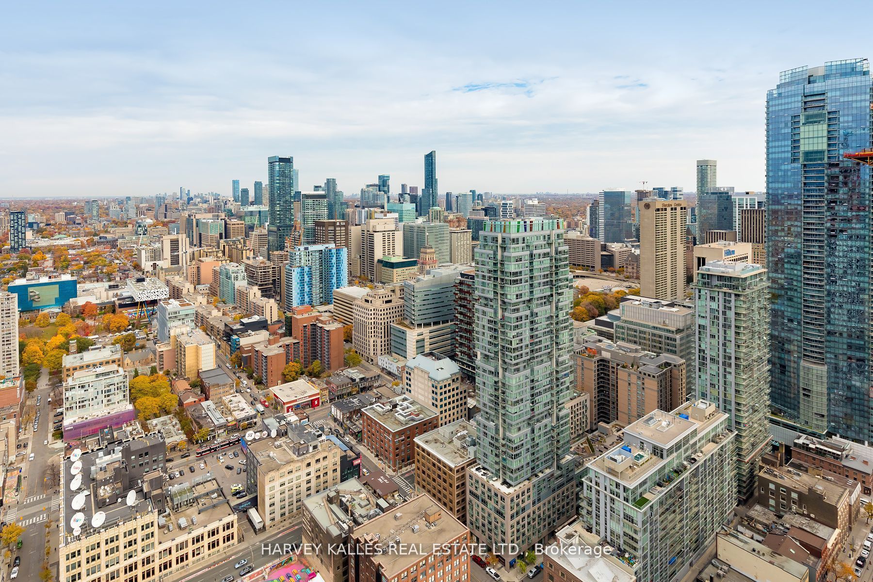 99 John Street 4802