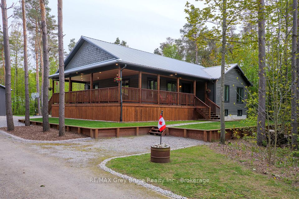 55 Pine Forest