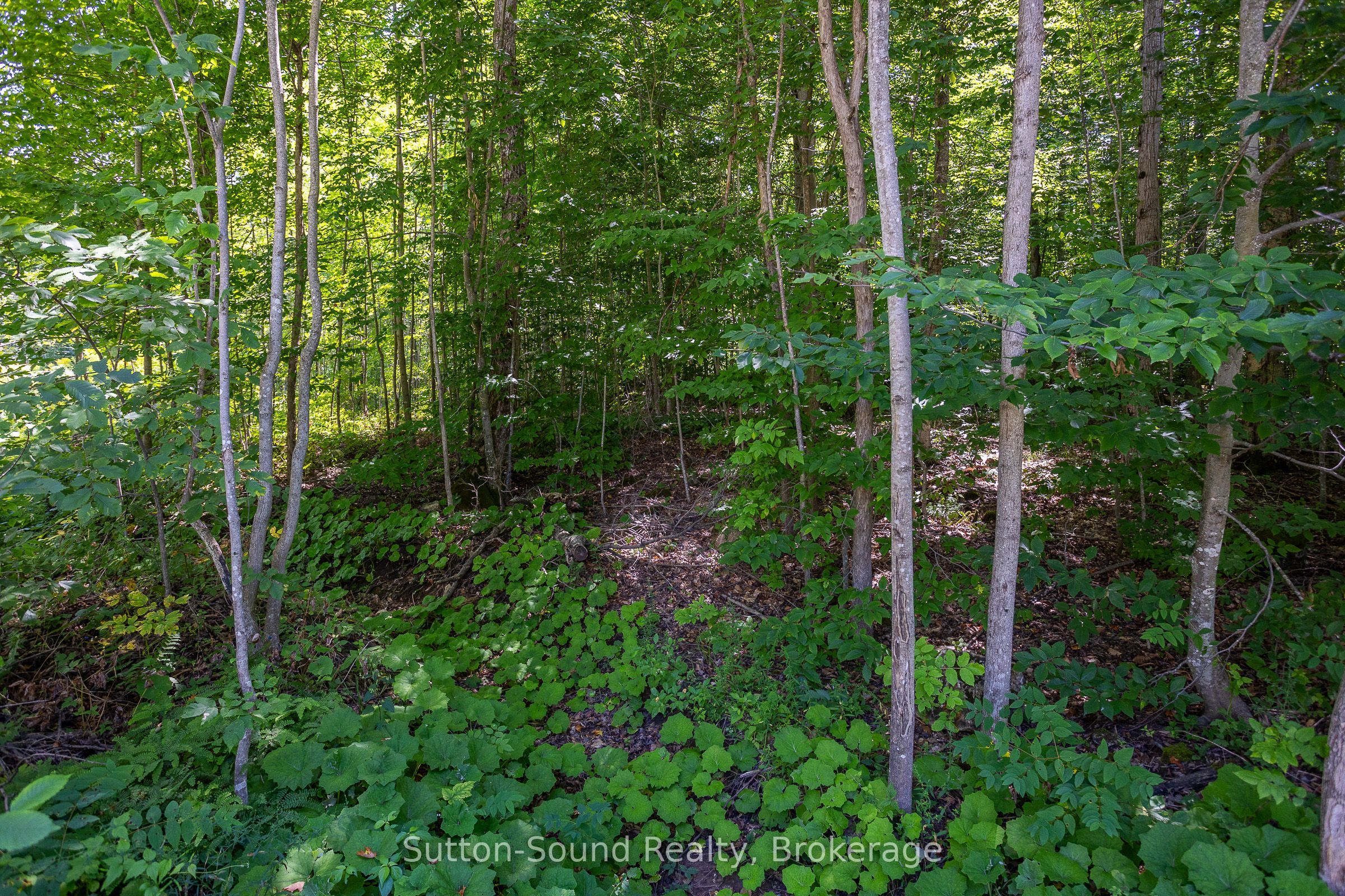 132 Big Rock Road, Georgian Bluffs, ON N0H 2K0