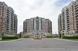 330 Red Maple