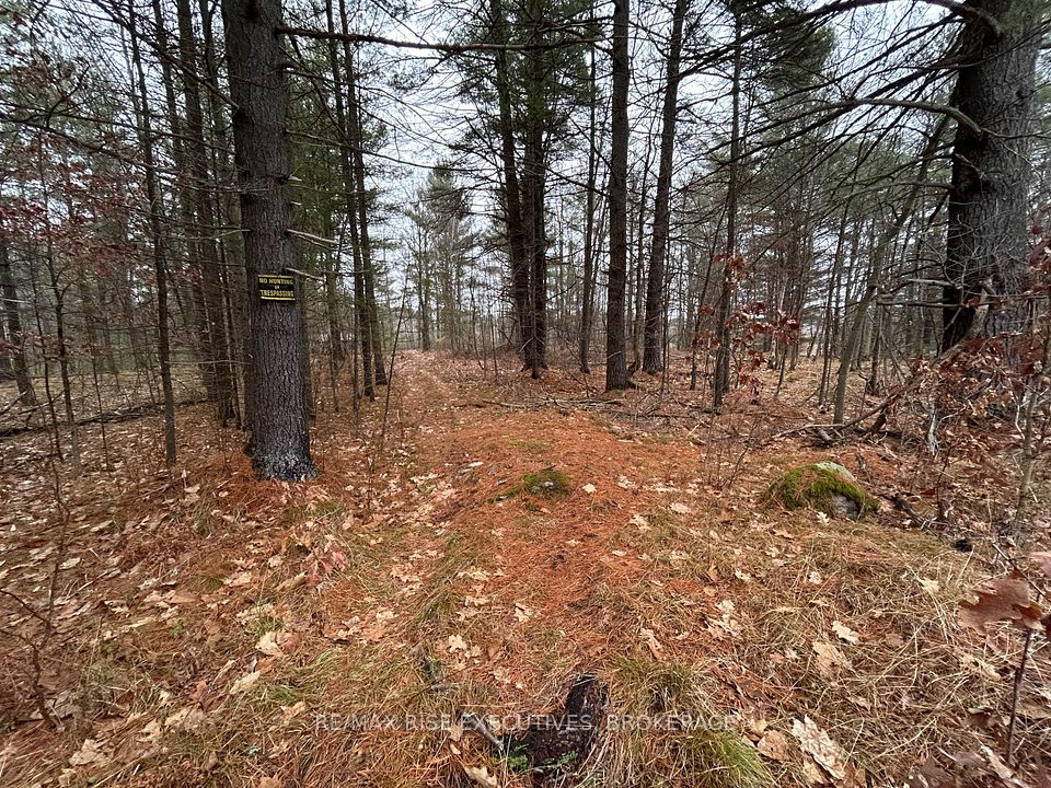 Lot 16 Echo Lake Road, Central Frontenac, ON K0H 2K0