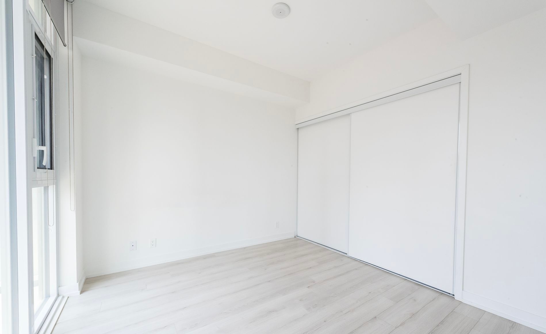 33 Helendale Avenue 2409