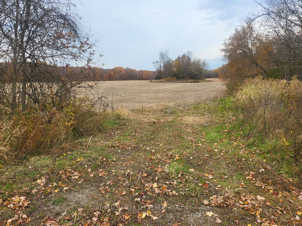 Lot 3 BUSH