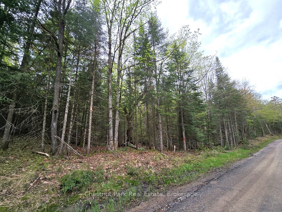 Part 6 Echo Ridge Road, Kearney, ON P0A 1M0