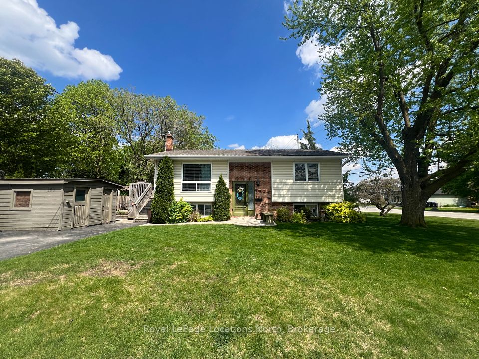293 Robinson Street