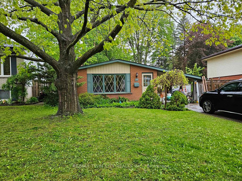 559 Sprucehill