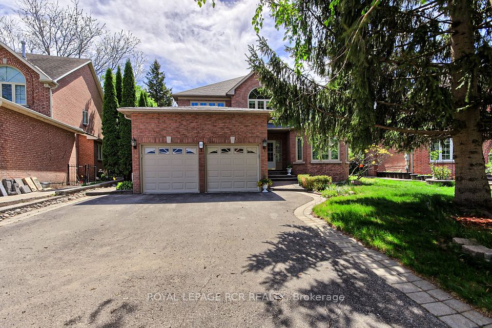 558 Lyman