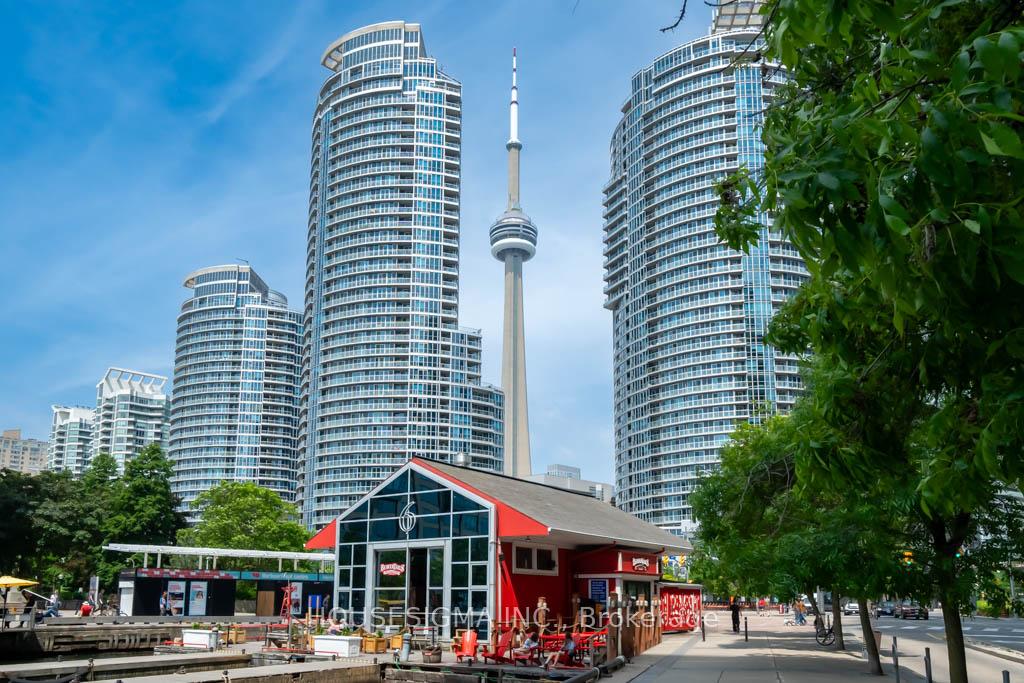 1 Bedroom Condo at 77 Harbour, Toronto For sale