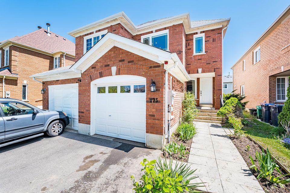 175 Fernforest
