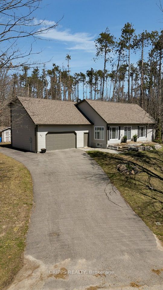 20 Cathedral Pines