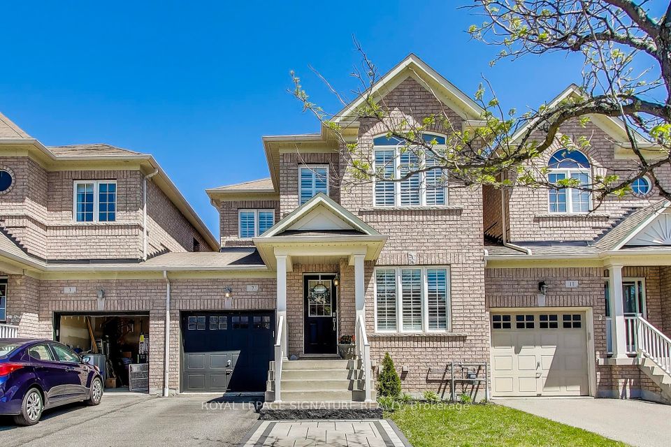 7 Betula