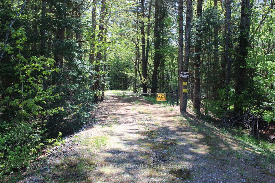 4313 Highway 518, McMurrich/Monteith, ON P0A 1C0