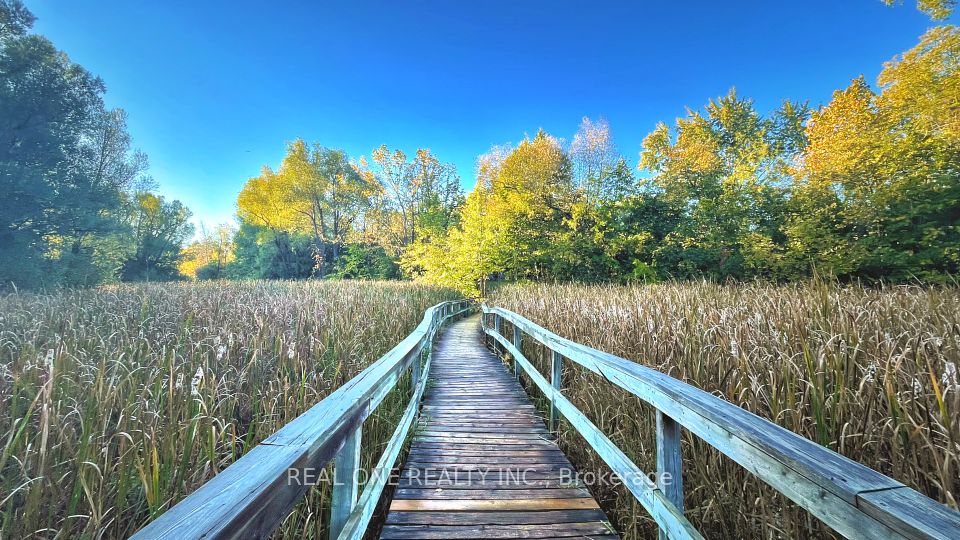 TooGood Pond Trail