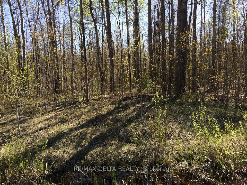 0000 County Road 15
