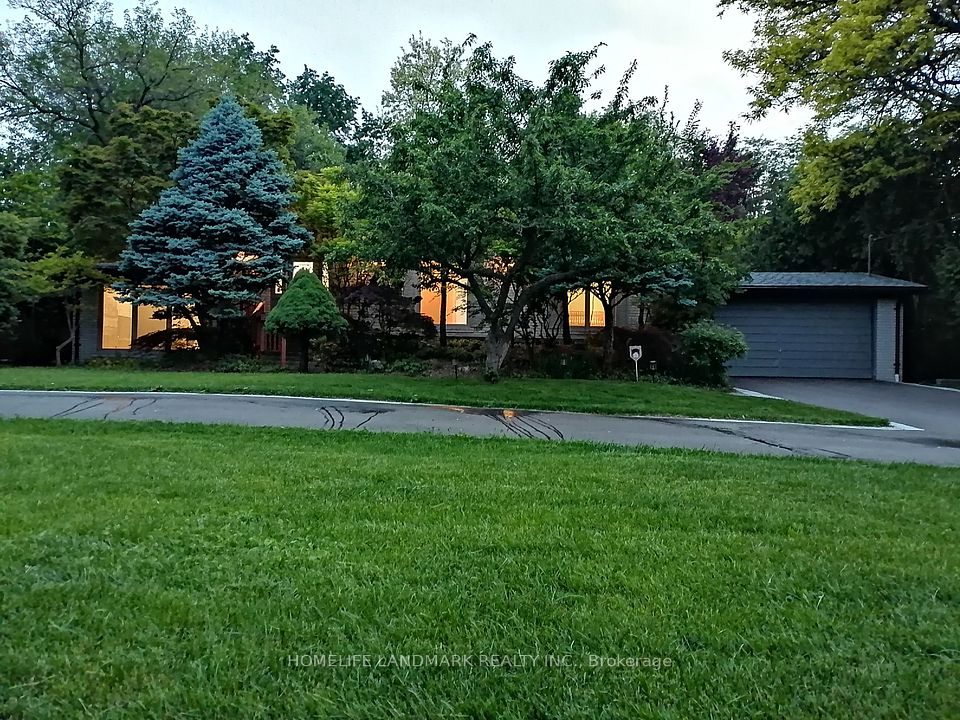 12 Thornheights