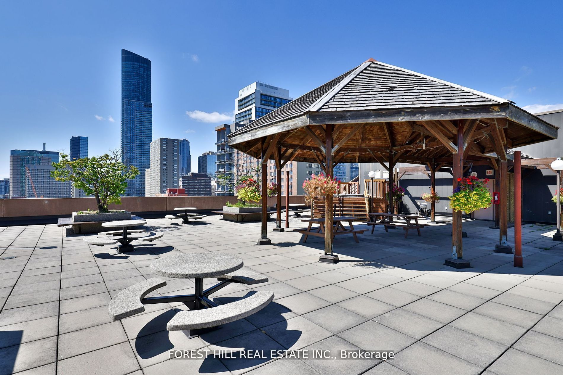 117 Gerrard Street, #503