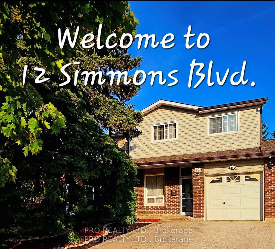 12 Simmons