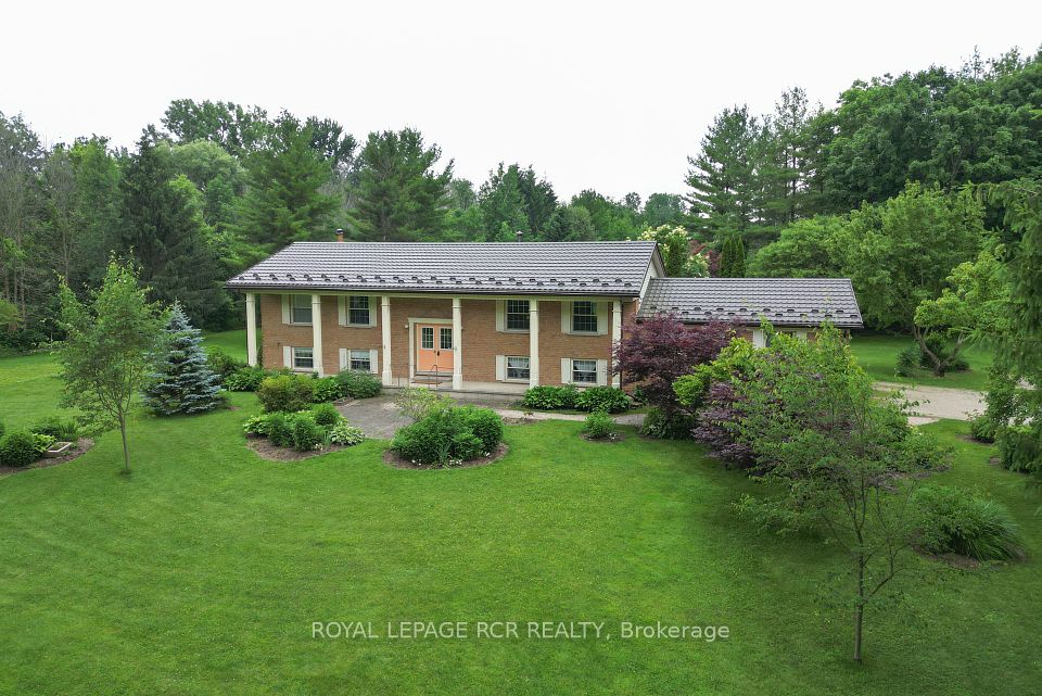 919 Guelph