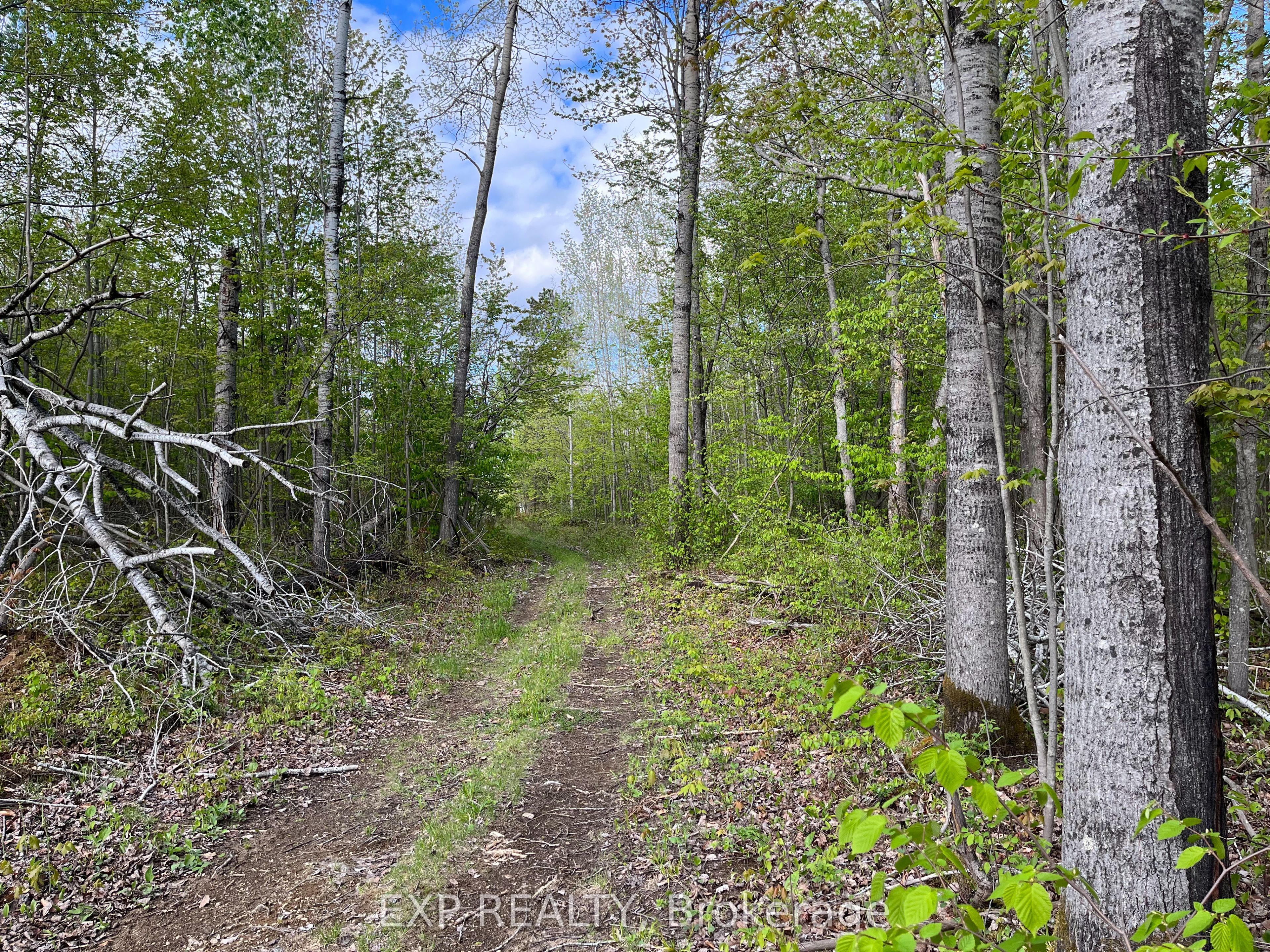 Lot 40 Sandy Shores Trail, Madawaska Valley, ON K0J 1B0