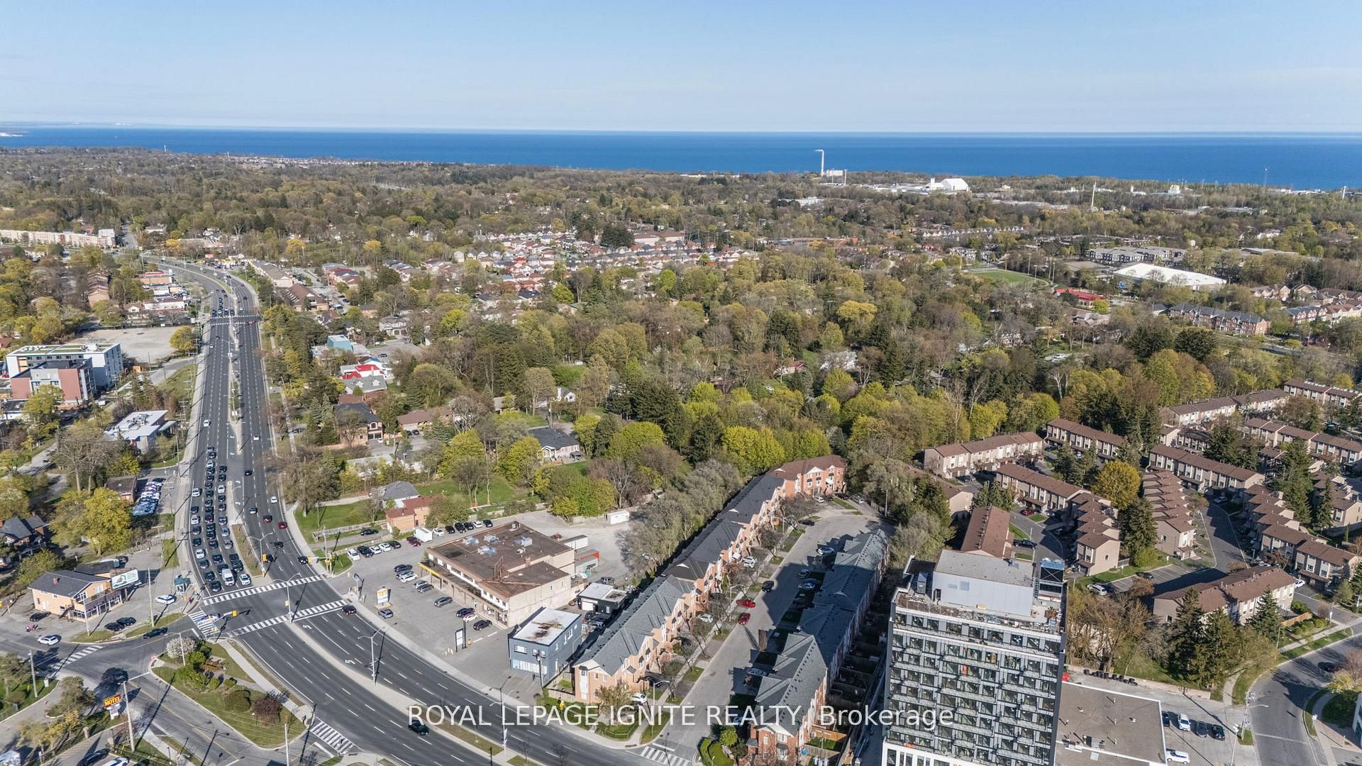 12 Eli Shackleton Court