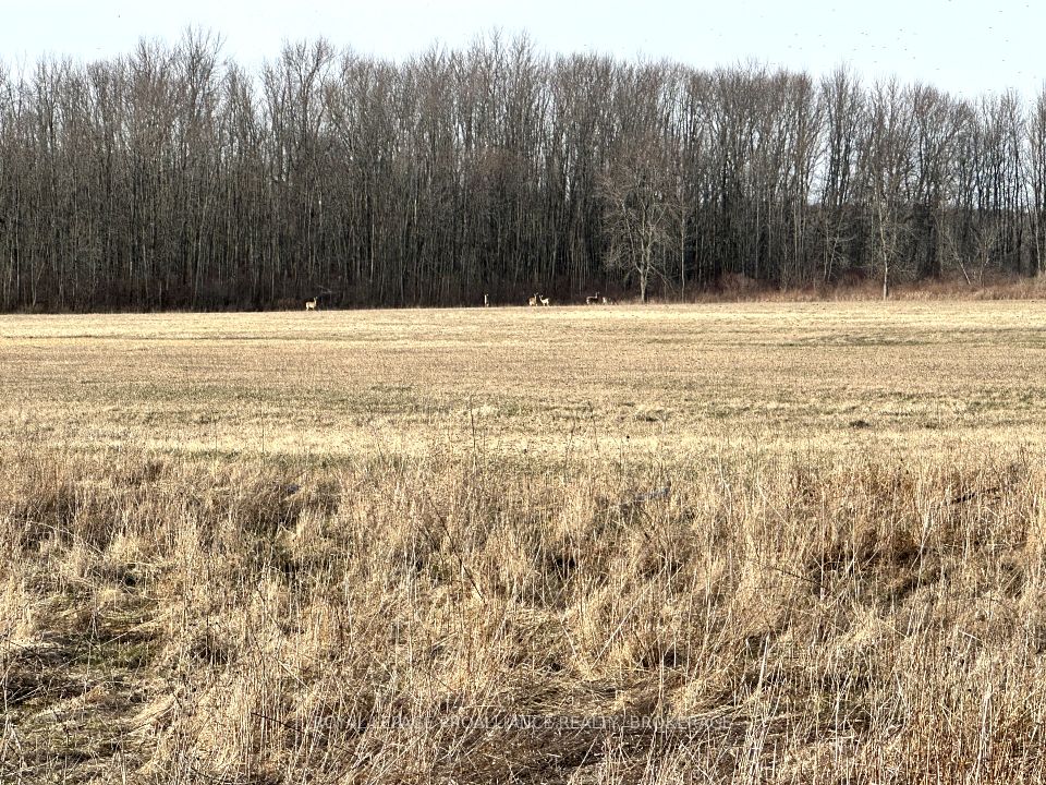 68 3rd CONCESSION