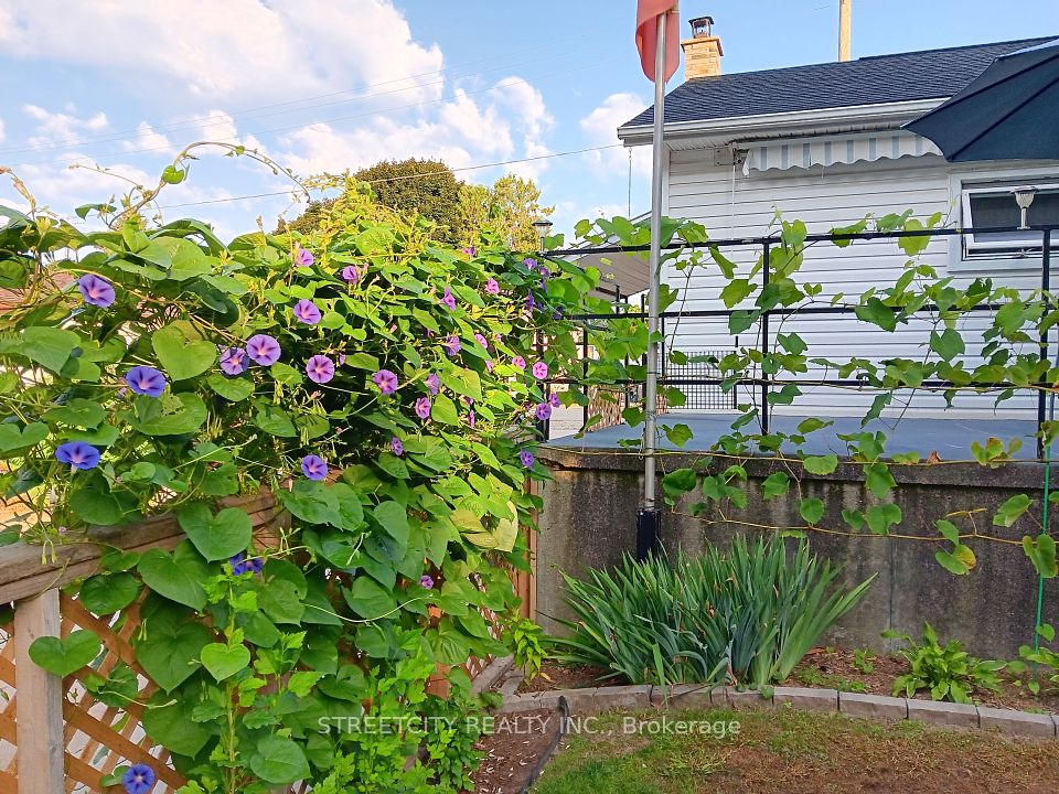 156 Maple