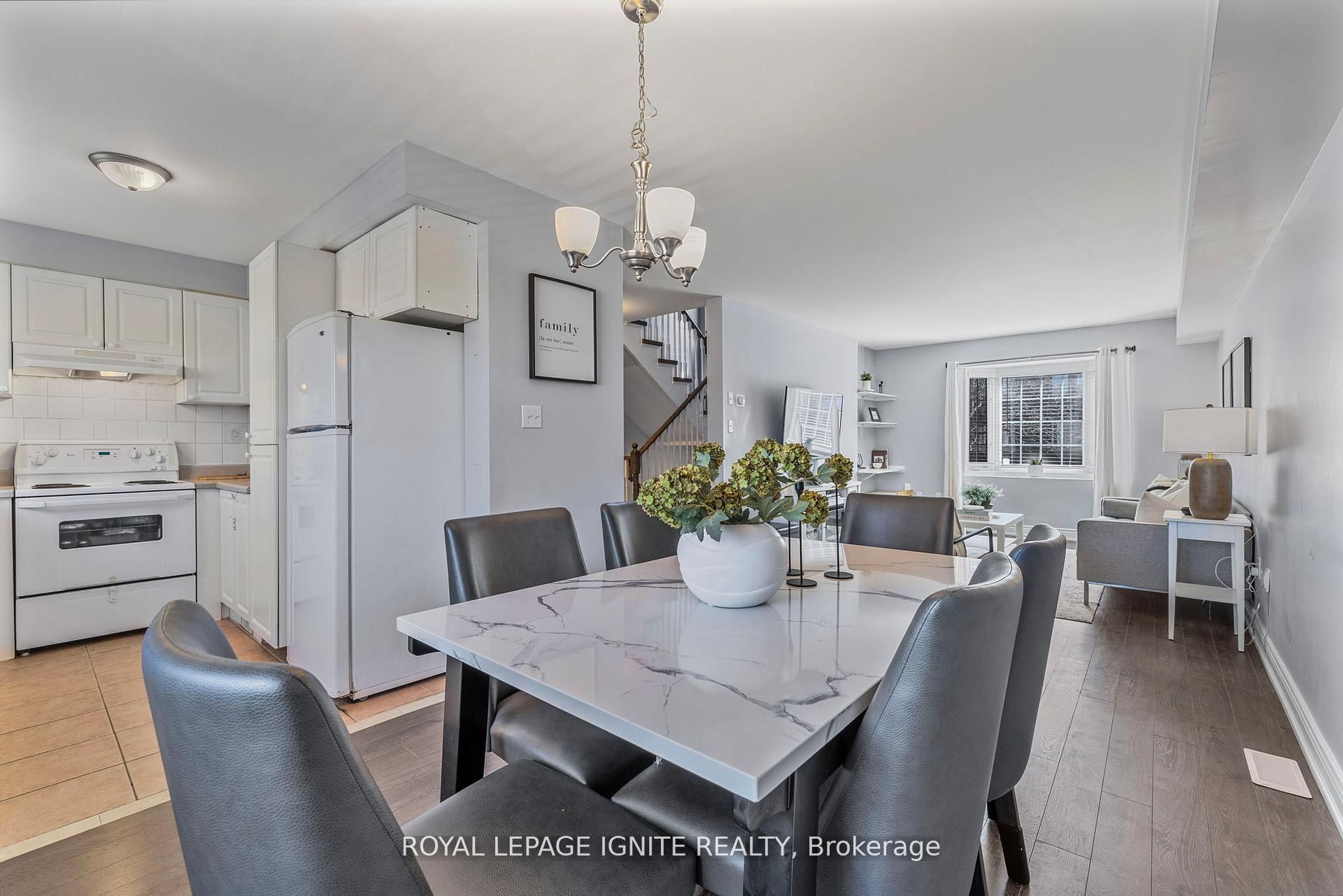 12 Eli Shackleton Court