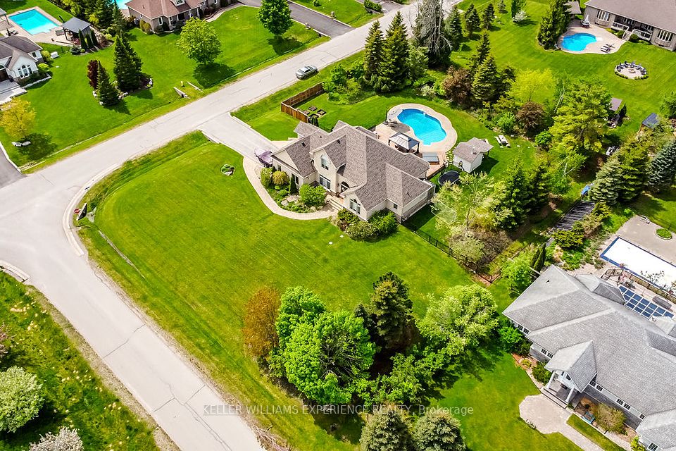 29 Basswood