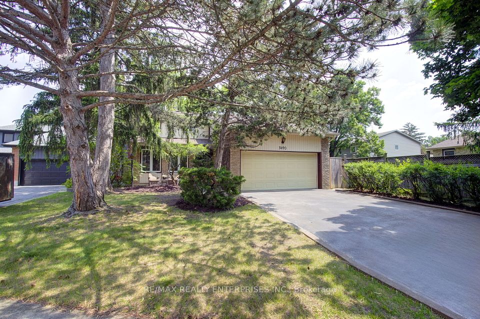 3490 Pitch Pine