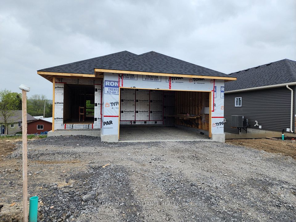19 Cedarwood
