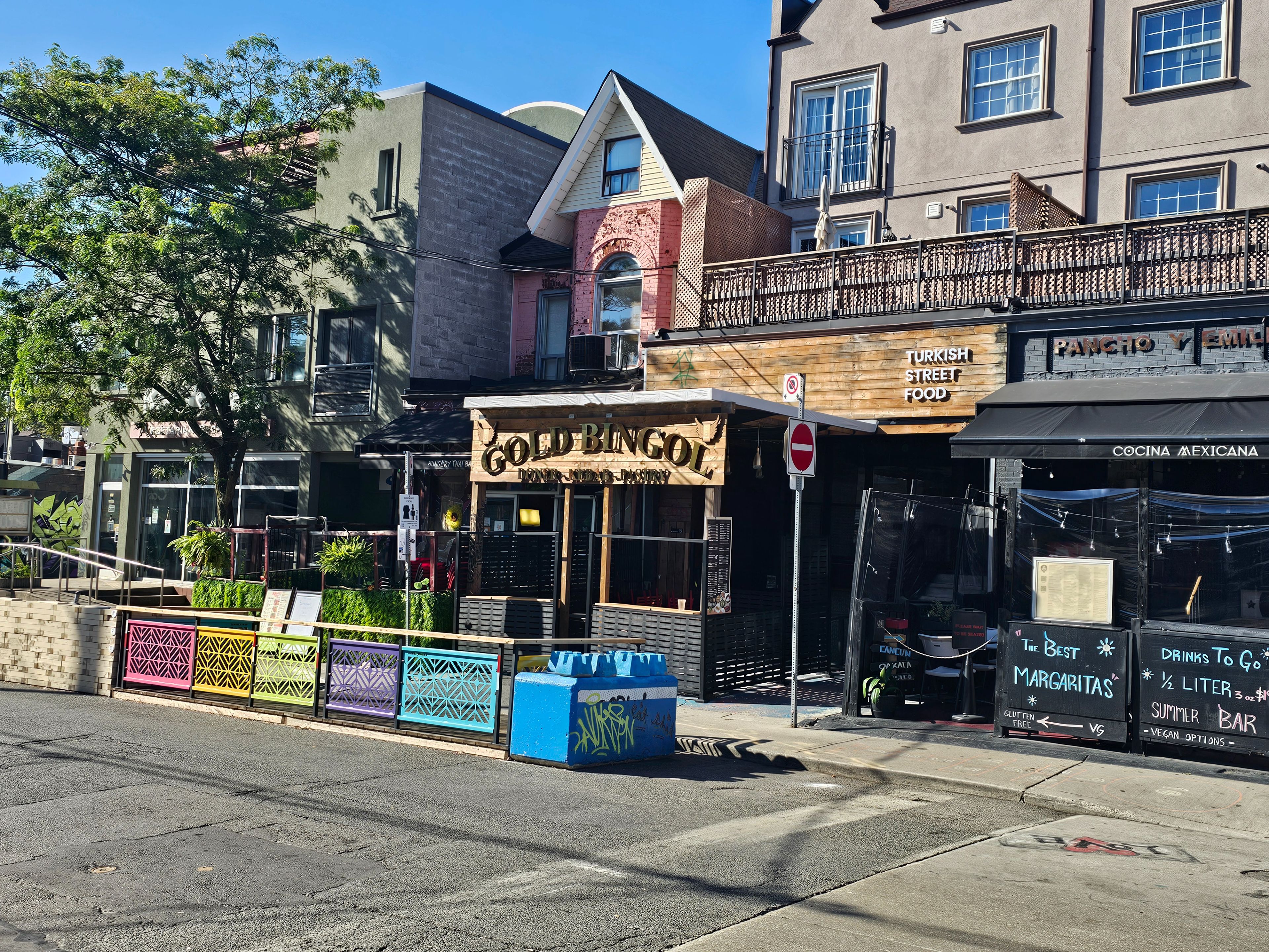 198 Augusta Avenue Lower