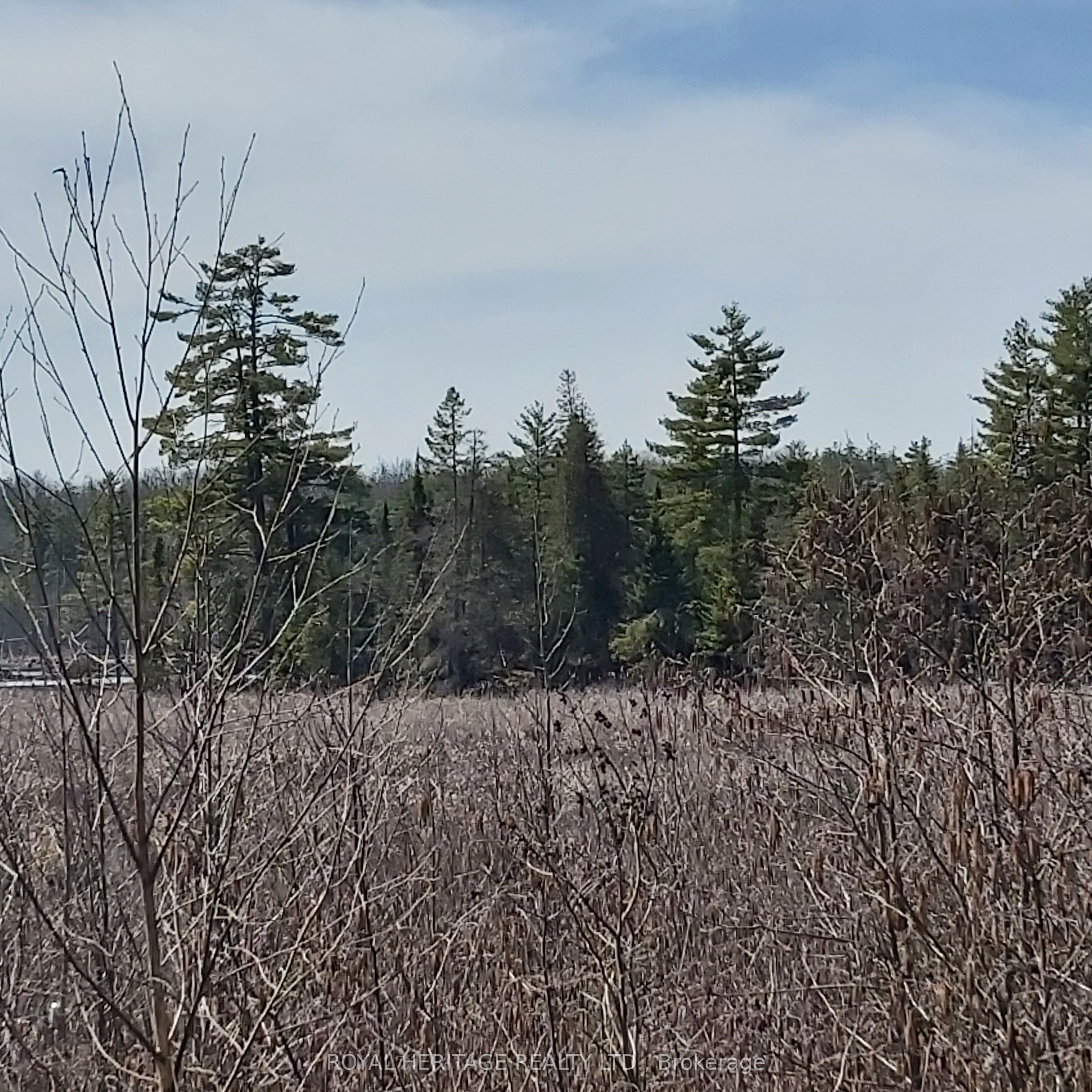00 Bass Lake Road, Trent Lakes, ON K0M 1A0
