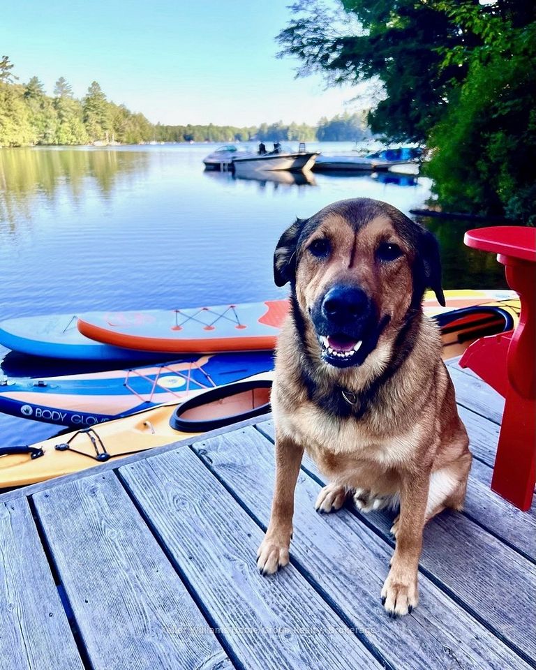 1869 Muskoka 118 Road