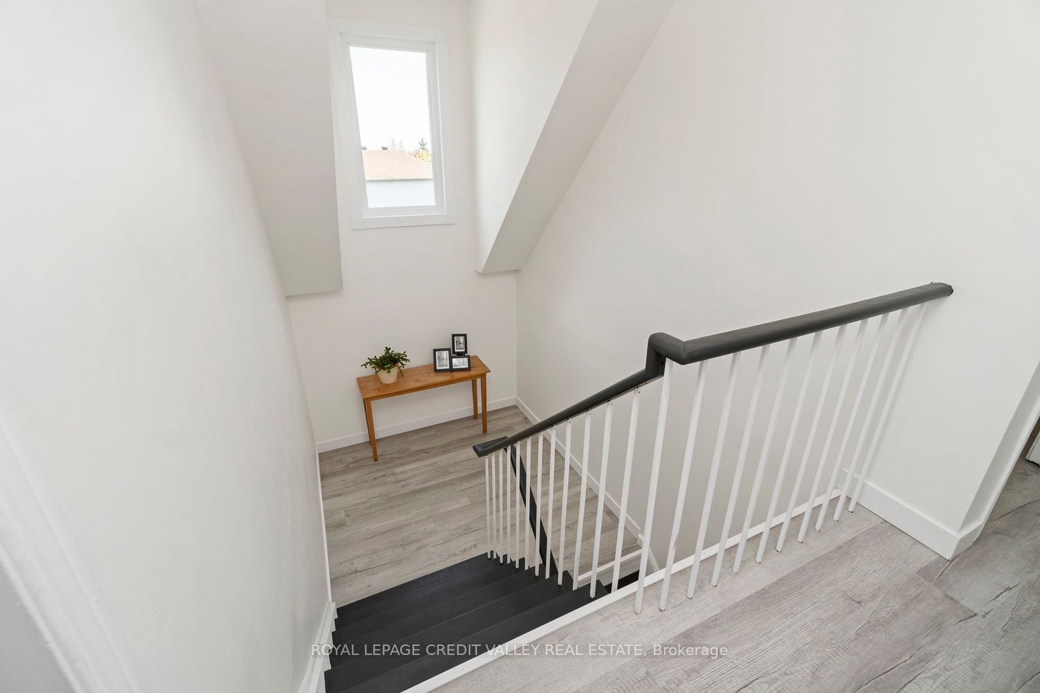 13 Kinzie Lane