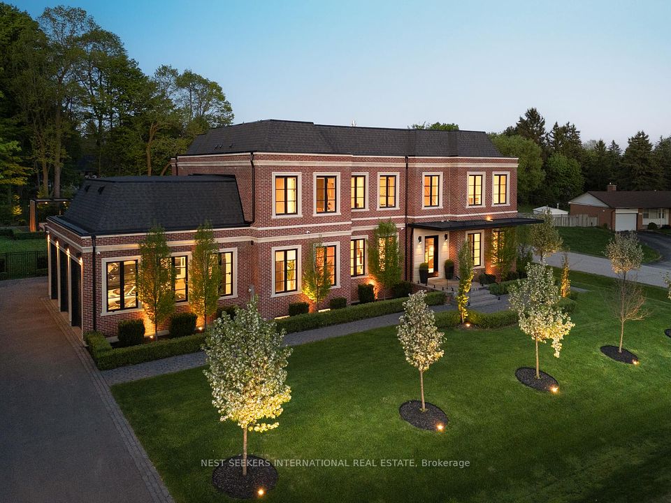 6 Forestave
