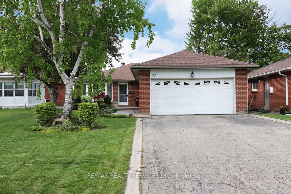 29 Dorchester Drive, Brampton, ON L6T 3C8