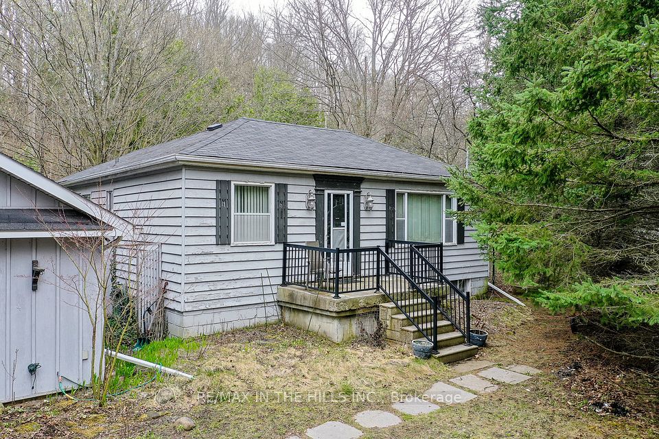 308304 Hockley