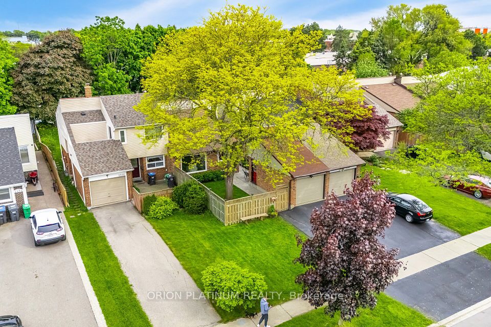 2504 Mainroyal