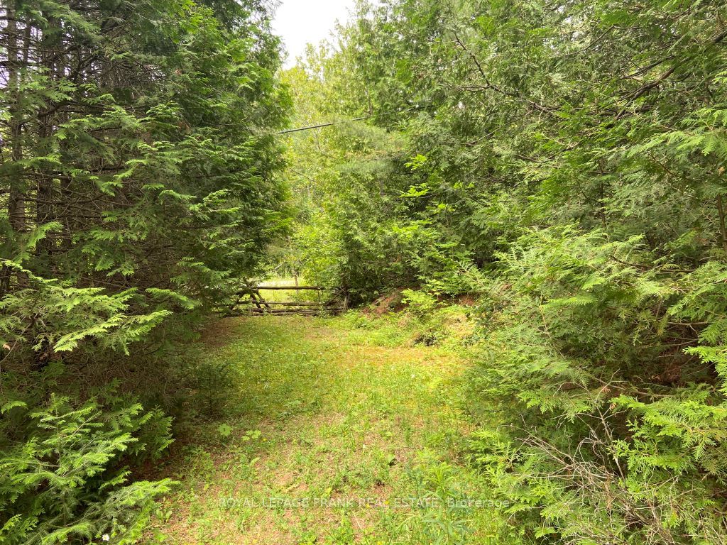 0 Barcroft Road, Trent Lakes, ON K0L 1J0